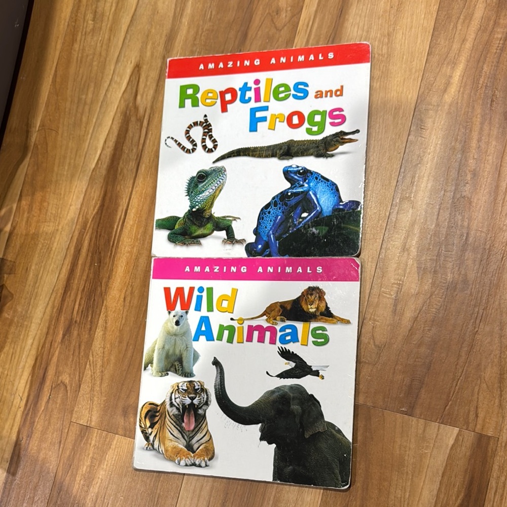 Amazing Animals kids board Book Set - Reptiles and Wild Animals